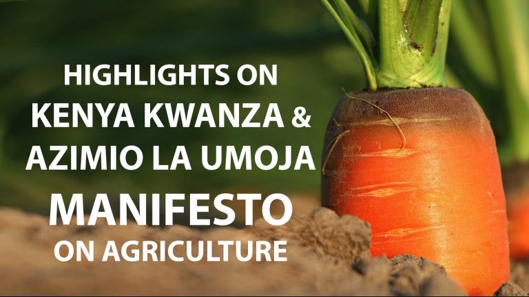 Kenya Kwanza Manifesto on Agriculture