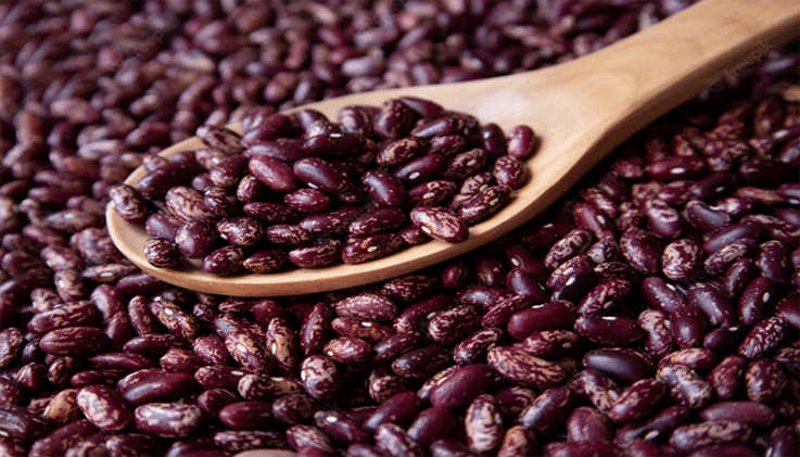 Beans Farming