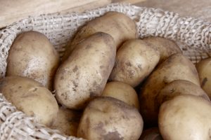 Markies Potato Variety