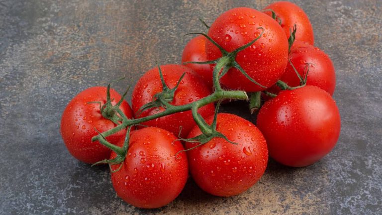 The Best of Campari Tomatoes Flavorful Taste