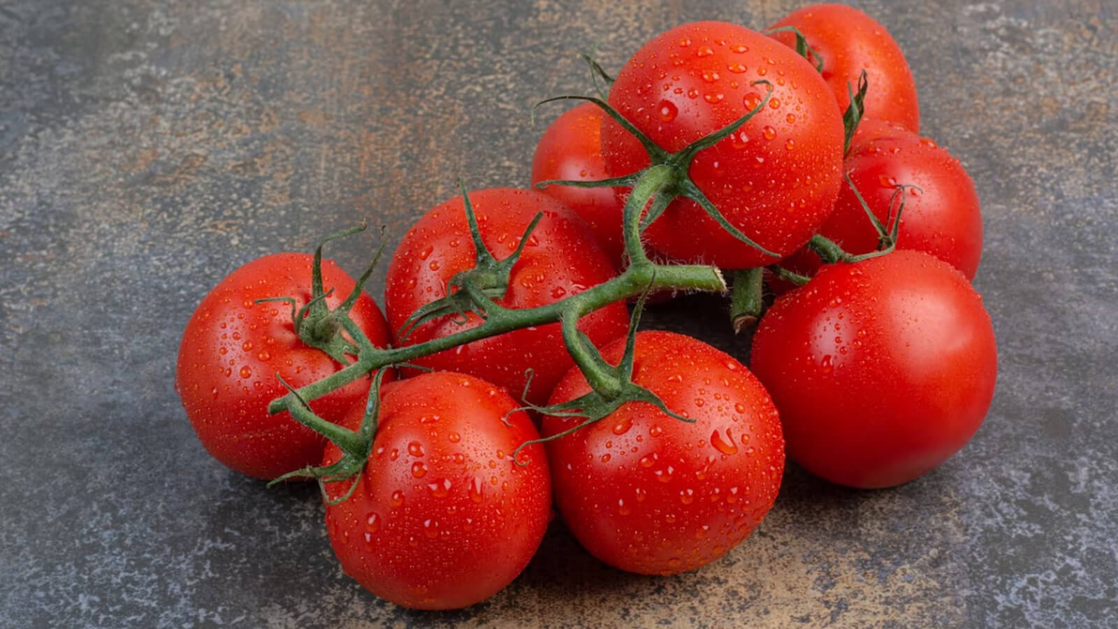 The Best of Campari Tomatoes Flavorful Taste Agri Innovation Hub