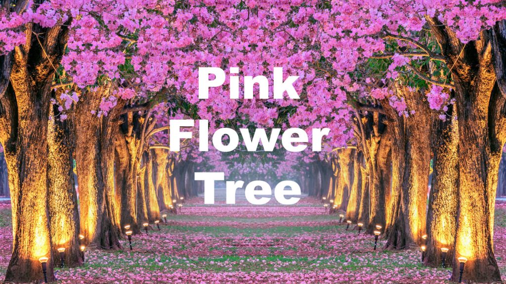 10 Best Pink Flower Trees