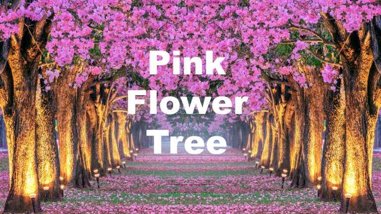 10 Best Pink Flower Trees