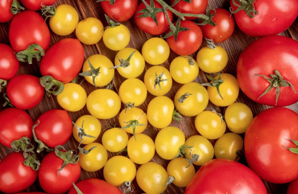 Sungold Tomatoes: Unveiling the Sun-Kissed Delight