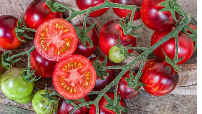 Black Strawberry Tomato