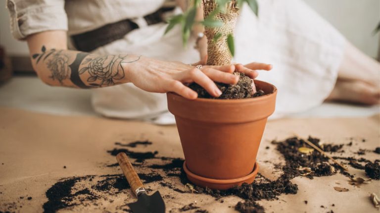 Clay planters