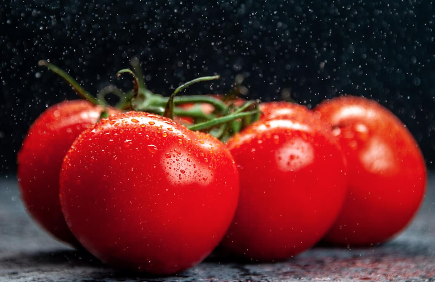 Rutgers Tomato Agri Innovation Hub