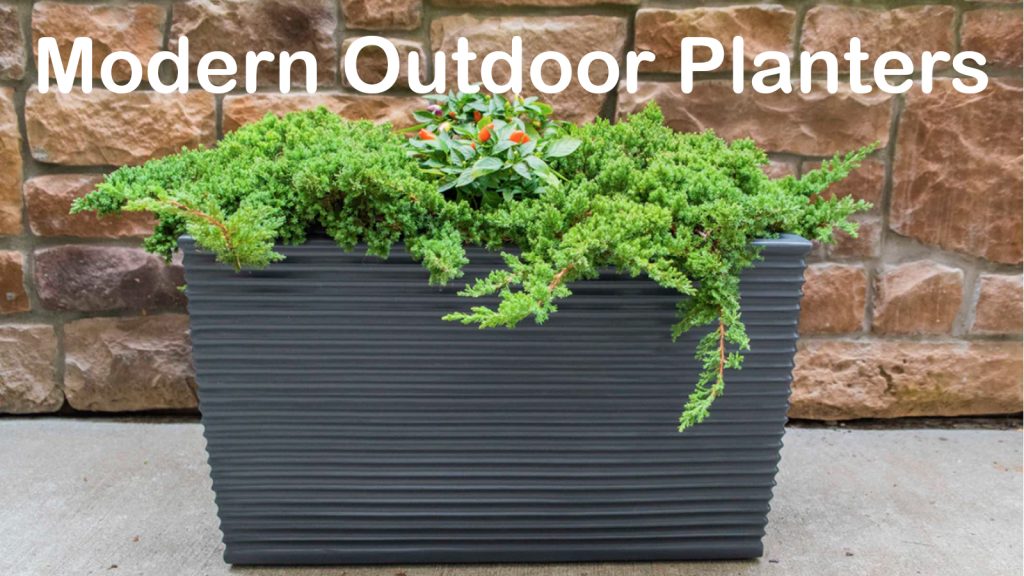 Modern Outdoor Planters
