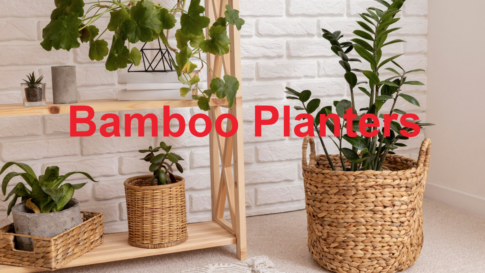 Bamboo Planters, Ideal For Your Home - Agri Innovation Hub