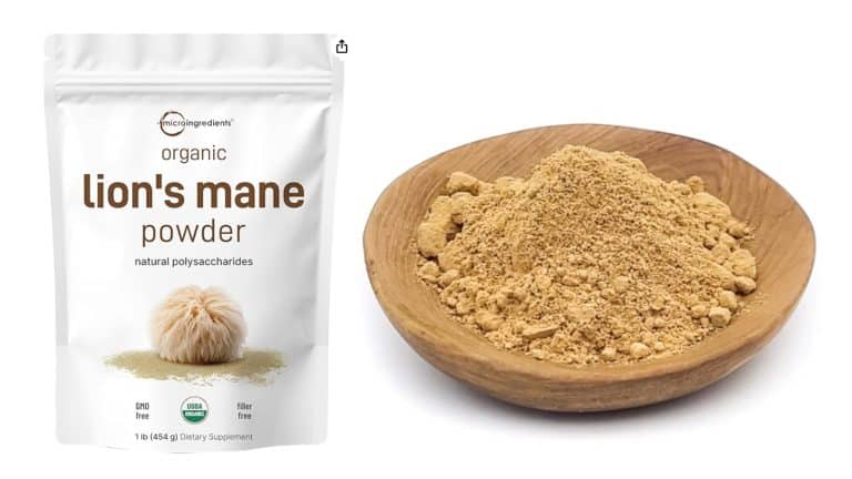 Lion mane mushroom powder 