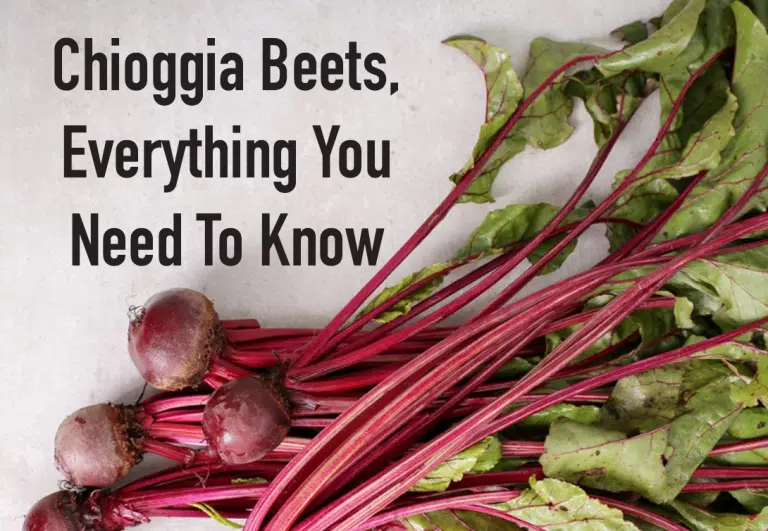 Chioggia Beets, Everything You Need To Know